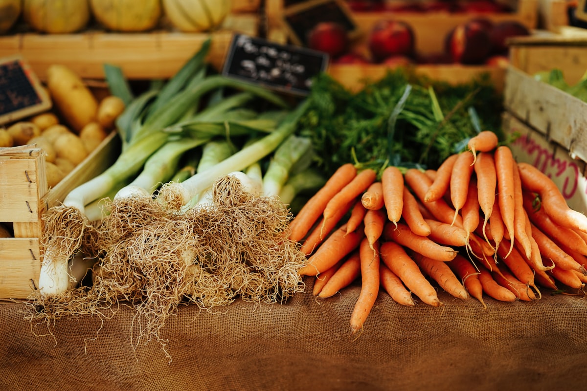 Nutrição saudável e bem-estar
